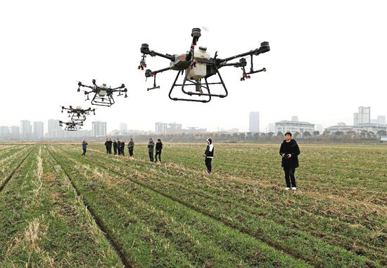 تقرير اخباري: الصين تستخدم التكنولوجيا الرقمية لتنشيط المناطق الريفية