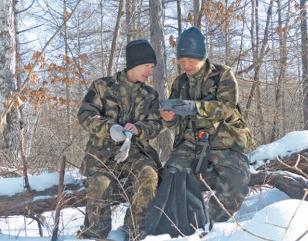 الحديقة الوطنية للنمر السيبيري والفهد الصيني تشهد تزايد عدد الأنواع المهدّدة بالانقراض