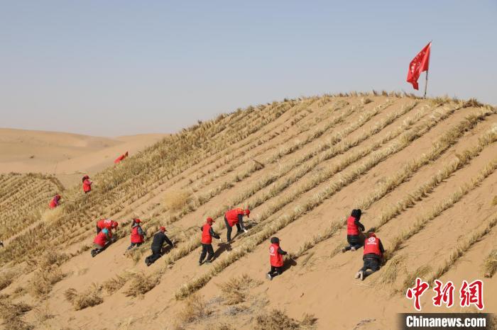حملة تثبيت الرمال في صحراء تنغر