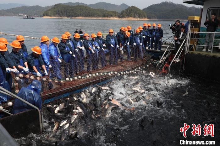 بحيرة تشيانداو بتشجيانغ: الصيد بالشباك العملاقة
