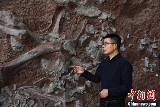 تشونغتشينغ تكتشف أقدم أحفور لديناصورات الستيجوسورس في آسيا