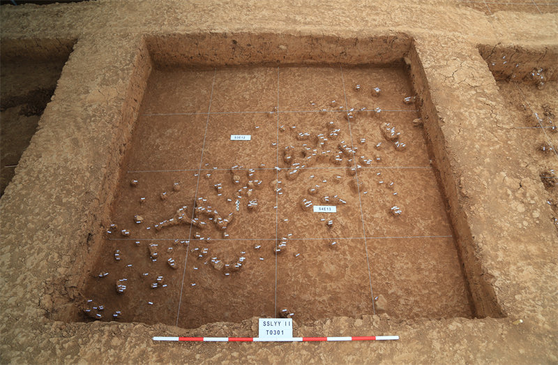 اكتشاف أكثر من 12000 قطعة حجرية من العصر الحجري القديم في شمال غربي الصين