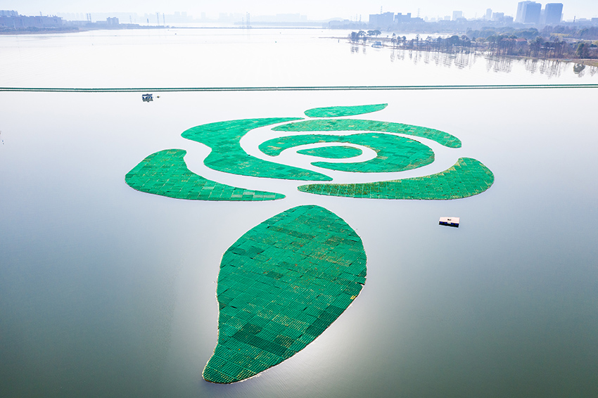 زهرة عملاقة اصطناعية لتنقية المياه في إحدى بحيرات مدينة ووهان