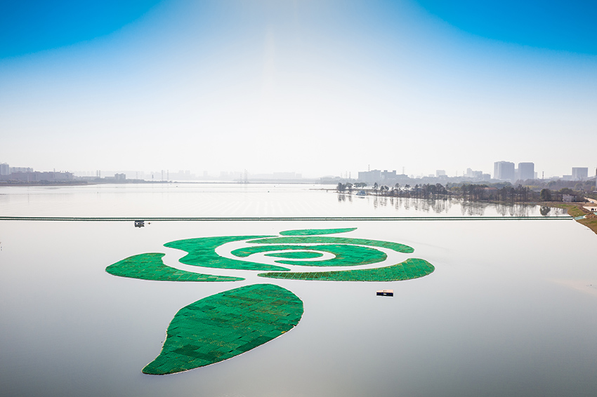 زهرة عملاقة اصطناعية لتنقية المياه في إحدى بحيرات مدينة ووهان
