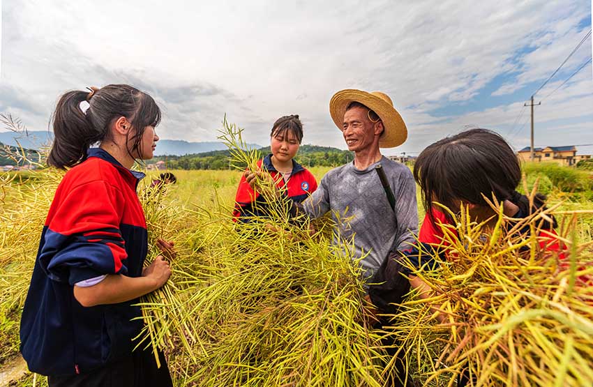 مع اقتراب عيد العمال، مدرسة في جيانغشي تأخذ طلابها في زيارة إلى الحقول