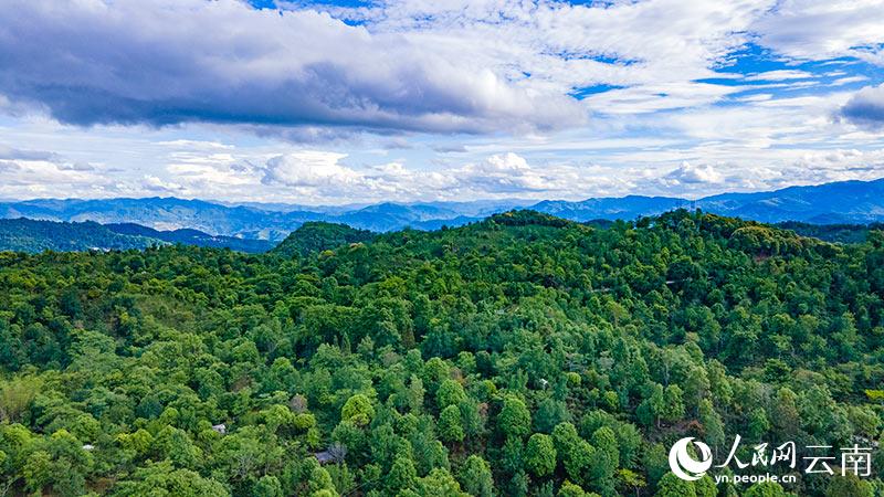 تصوير جوي لقرية بولانغ القديمة في جبل جينغماي، يوننان