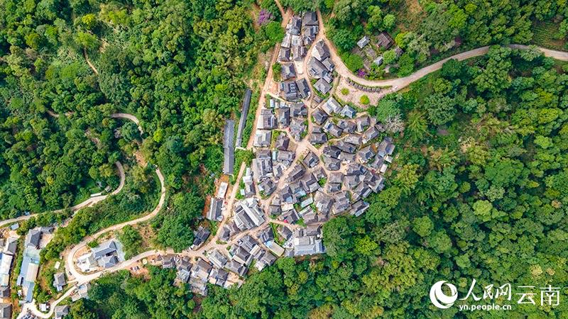 تصوير جوي لقرية بولانغ القديمة في جبل جينغماي، يوننان