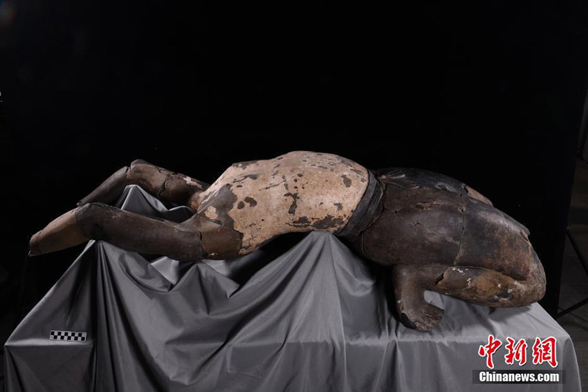 متحف تشينشيهوانغ بشيآن يعلن عن إنهاء ترميم 