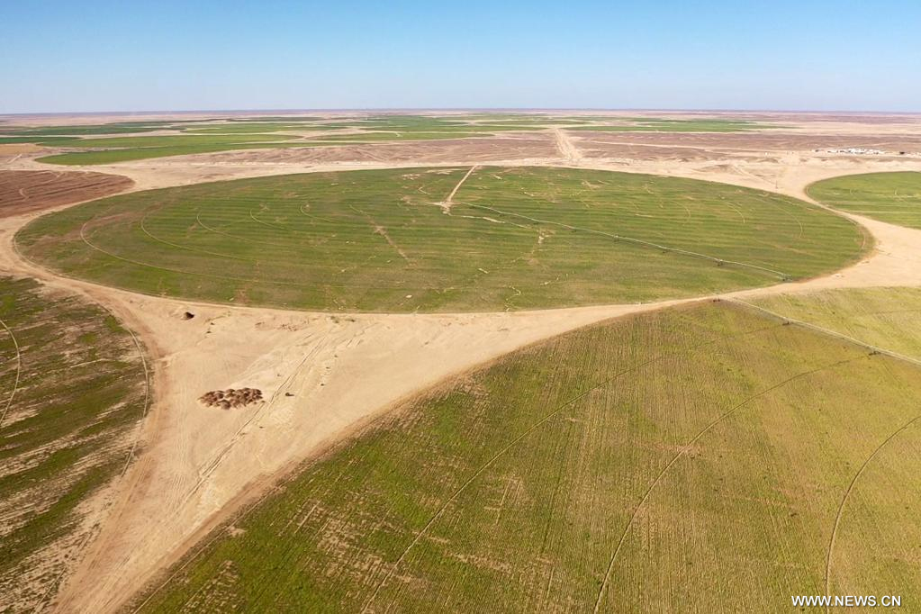 مقالة : شركة حفر صينية تساهم في تحويل صحراء مصر إلى أراض زراعية
