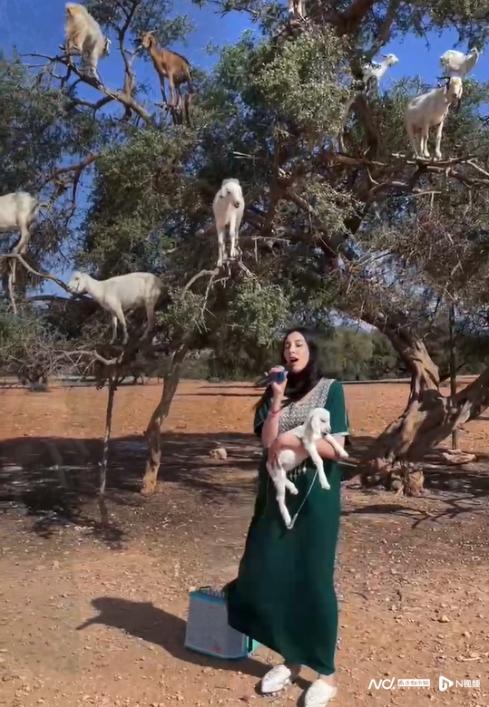 فتاة مغربية تغني الأغاني الصينية في شوارع الرباط