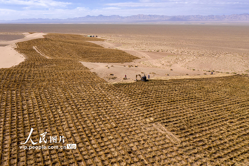 جهود مستمرّة في مقاطعة قانسو لمكافحة رمال الصحراء