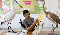 شاب صيني يصنع مجسمات الحيوانات للتوعية بحماية التنوع الطبيعي