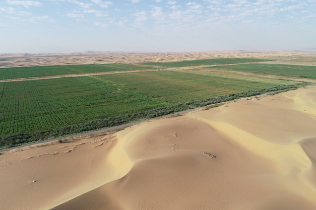 التعاون الصيني العربي يتعمق في مجال الري الموفر للمياه