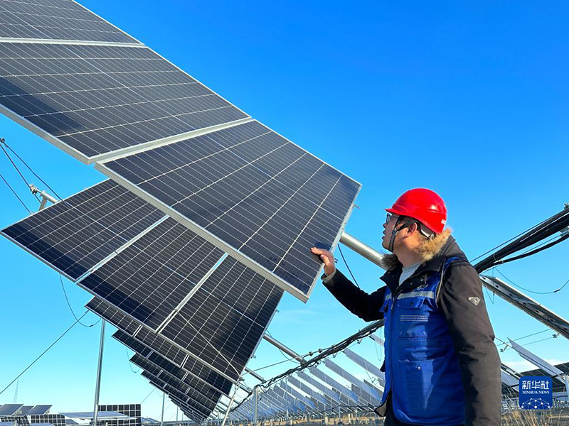 محطة لتوليد الطاقة الشمسية توفر مرعى خصب للأغنام في تشينغهاي
