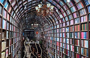 المكتبات المميزة في مدينة بكين
