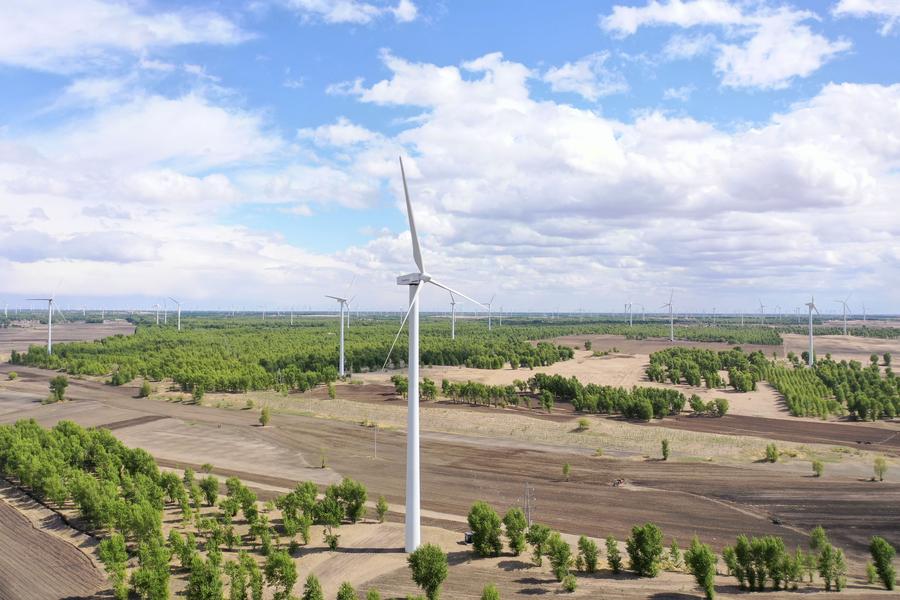 عقد منتدى بشأن تنمية الطاقة في إطار مبادرة الحزام والطريق شرقي الصين