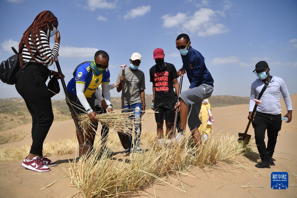 مقالة : طلاب دوليون يعايشون تجربة أعمال مكافحة التصحر في الصين