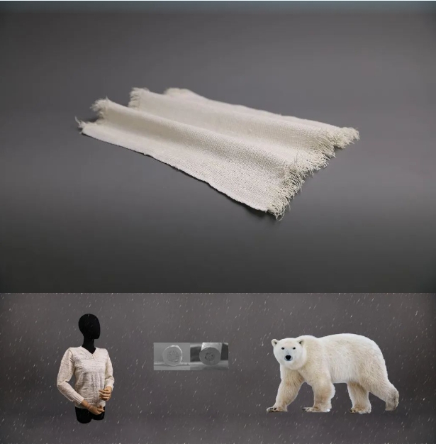 العلماء الصينيون يعدون مادة عازلة للحرارة مستوحاة من شعر الدب القطبي