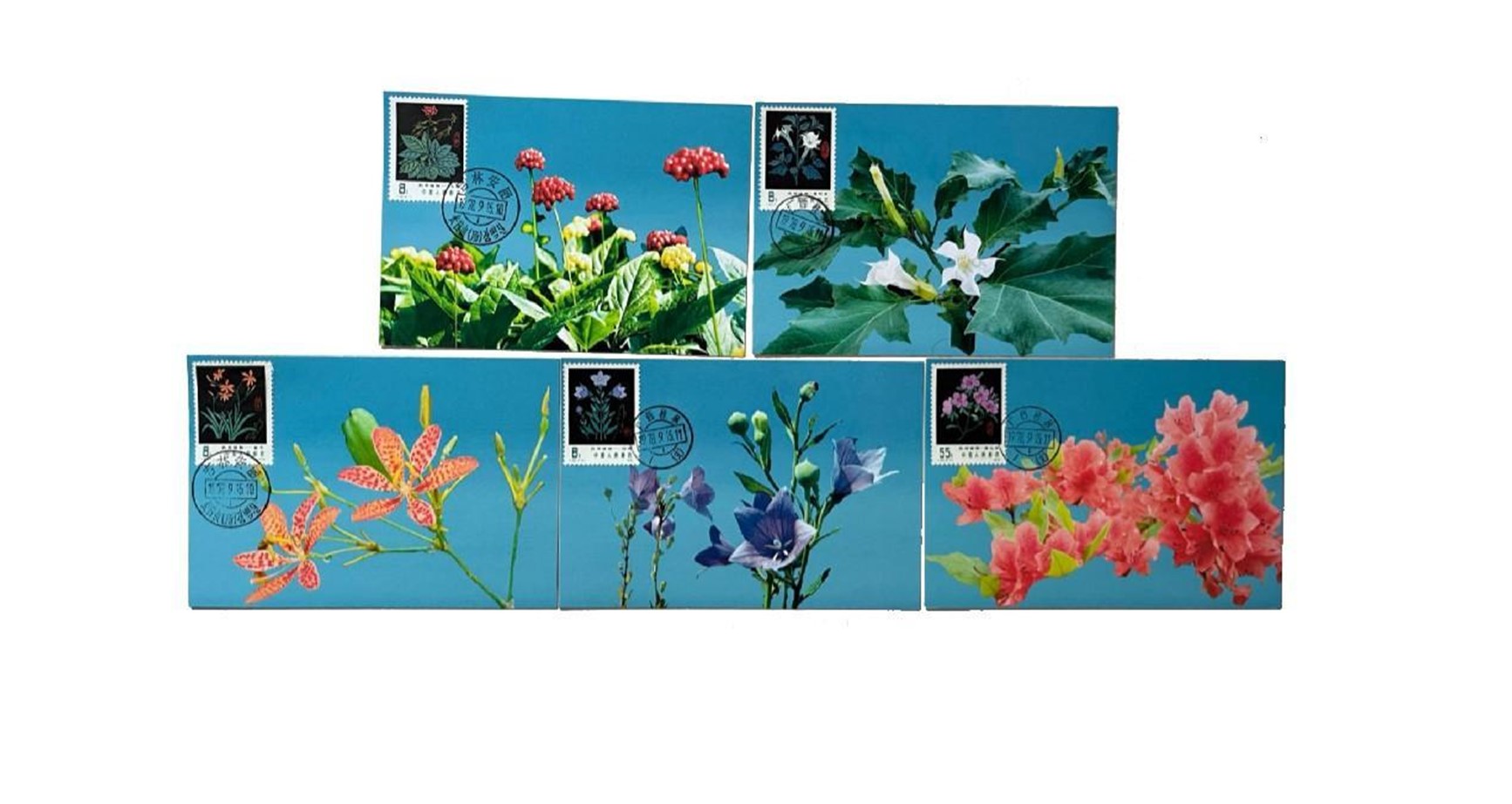 المجموعة الأولى من الطوابع الماكسي كارد للنباتات الطبية. مصدر الصورة / الجهة المنظمة لمعرض الإمارات السابع لهواة الطوابع
