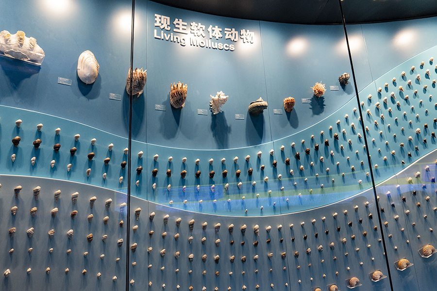 أرض تشانغجيانغ الأحفوري .. بيت الكنز الأحفوري في العالم