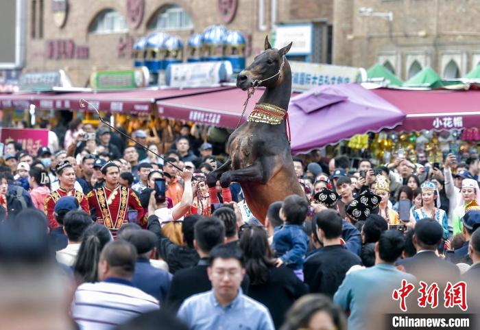 خيول فيرغانا تجتذب أنظار السياح في بازار شينجيانغ الكبير