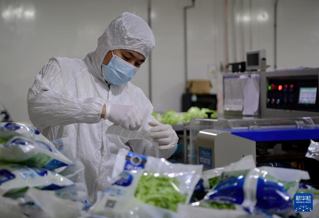 استكشاف مصنع نباتات كبير غير المأهول