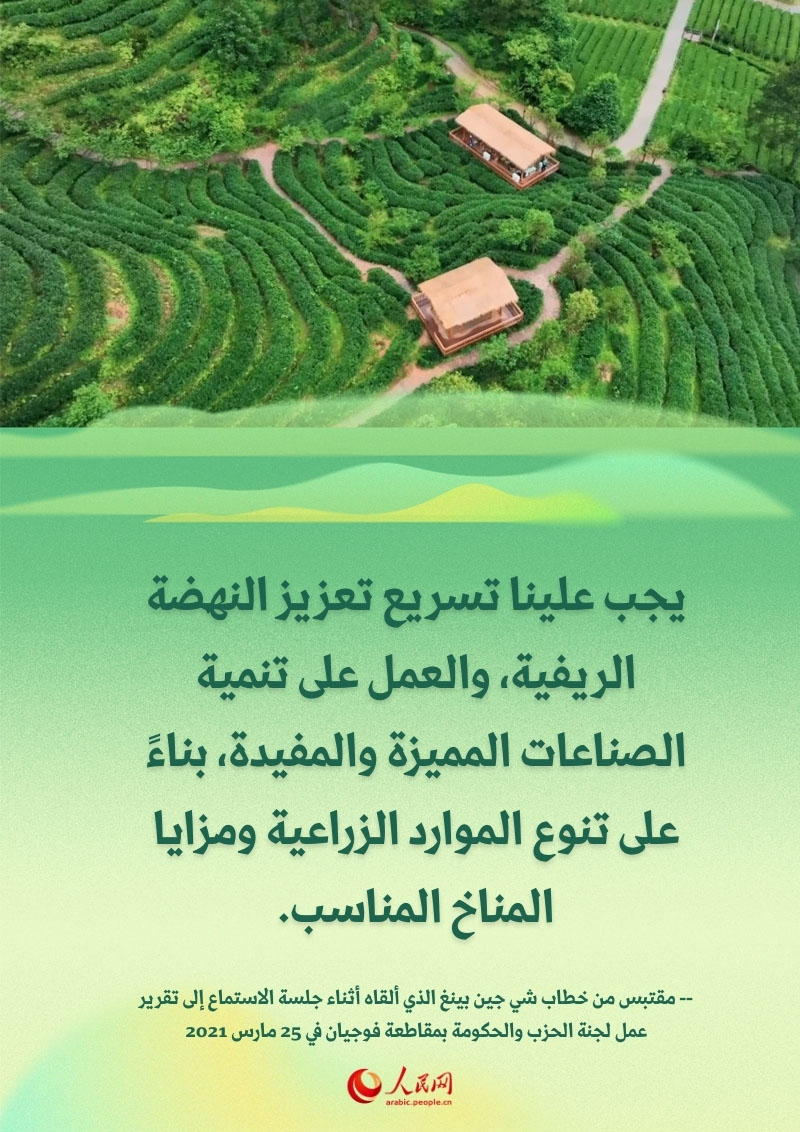 تحت إرشاد شي جين بينغ.. طريق الإنعاش الريفي في فوجيان
