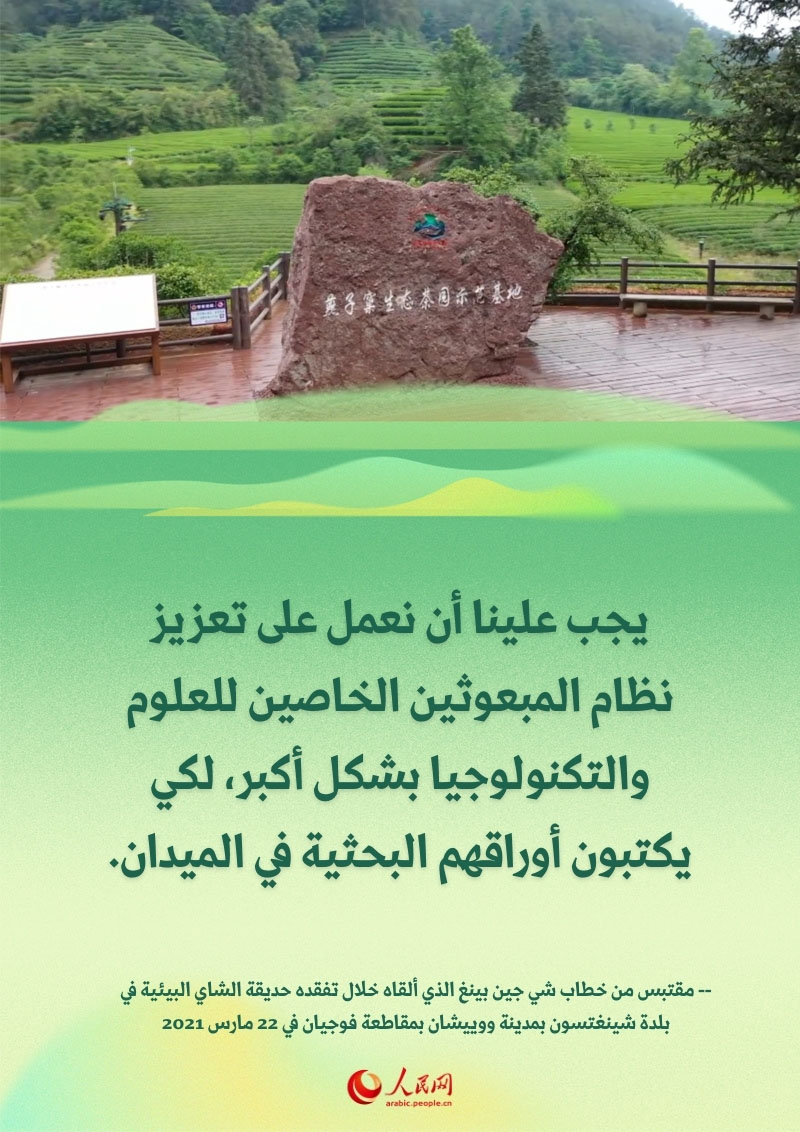 تحت إرشاد شي جين بينغ.. طريق الإنعاش الريفي في فوجيان