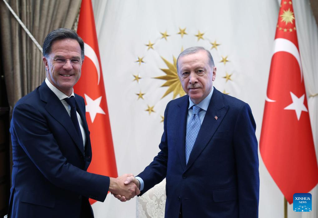 أردوغان يلتقي أمين عام الناتو ويؤكد دعمه لوقف إطلاق النار بين روسيا وأوكرانيا