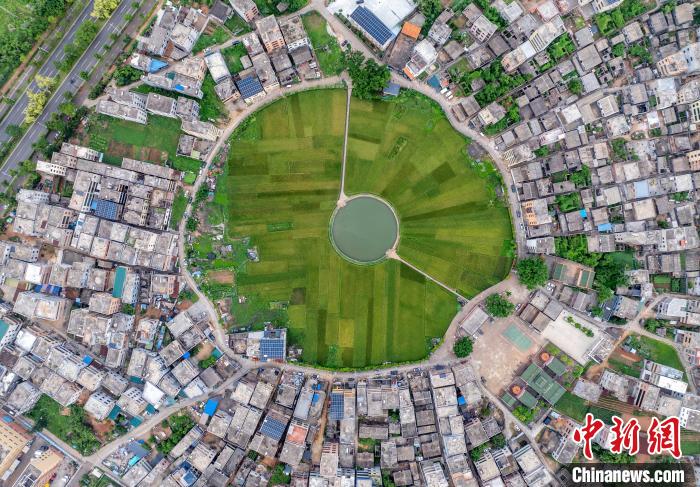 عمرها 400 عام وتشبه 