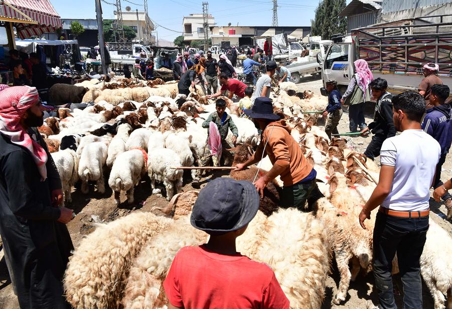 تحقيق ميداني: في أسواق دمشق .. سوريون يوازنون بين الأمل والمعاناة قبل عيد الأضحى