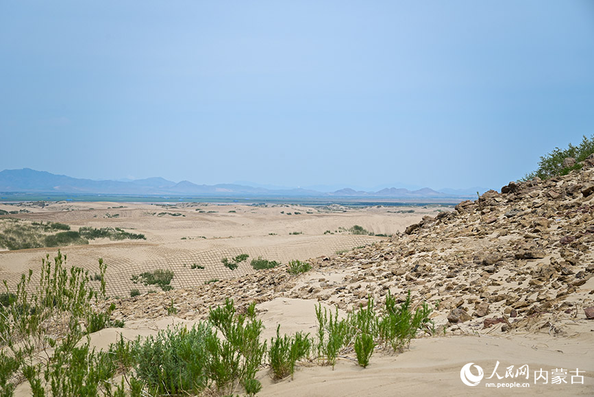 الطُرق تخنق الصحراء في منغوليا الداخلية وتتصدى لزحف الرمال