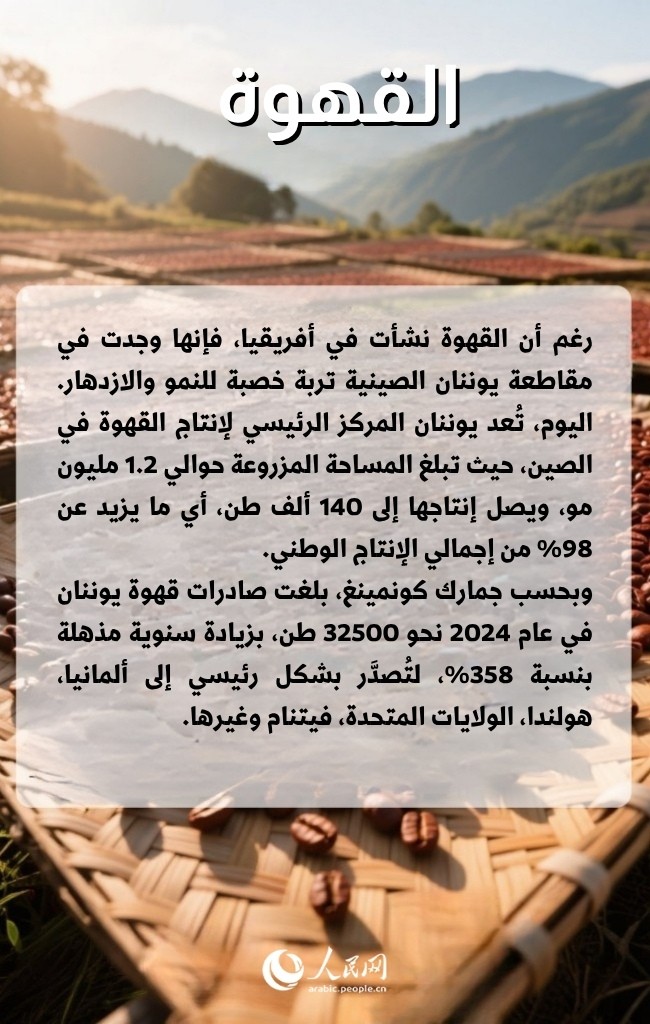 سلع أجنبية كانت الصين تستوردها، والآن باتت تصنعها وتصدرها