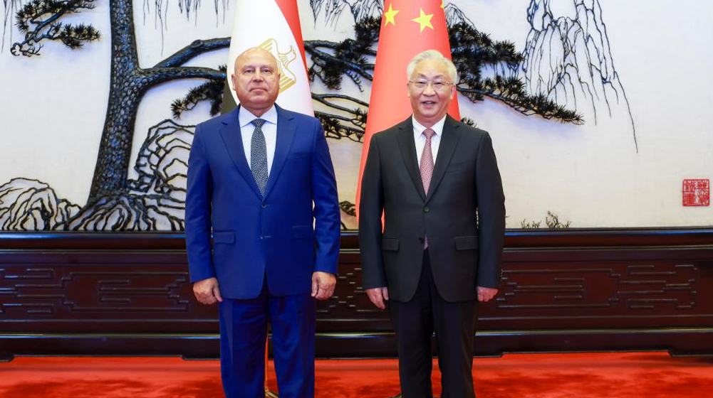 نائب رئيس مجلس الدولة الصيني يلتقي نائب رئيس الوزراء المصري