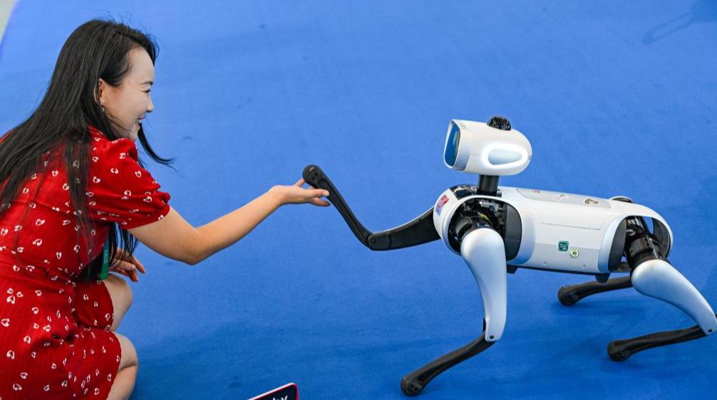 الصورة: معرض الصناعة الذكية العالمي 2025 في تشونغتشينغ بجنوب غربي الصين