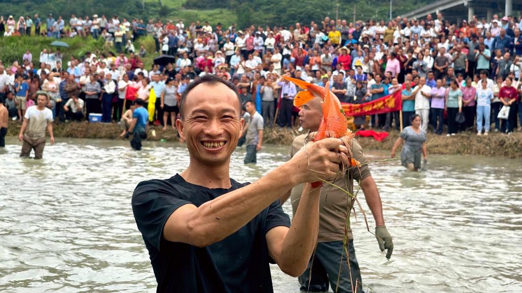 الصورة: الحصاد الخريفي في مختلف أنحاء الصين