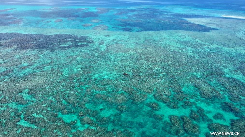محمية هوانغيان داو الطبيعية الوطنية في جنوبي الصين