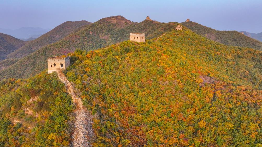 الصورة: مناظر خريفية على سور الصين العظيم