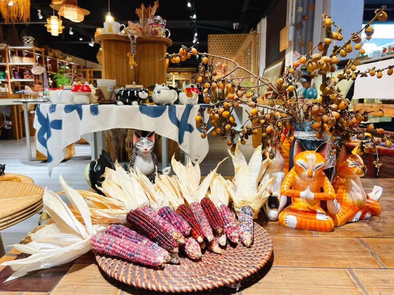 ذرة الزينة في يوننان، حبّاتها مثل الأحجار الكريمة