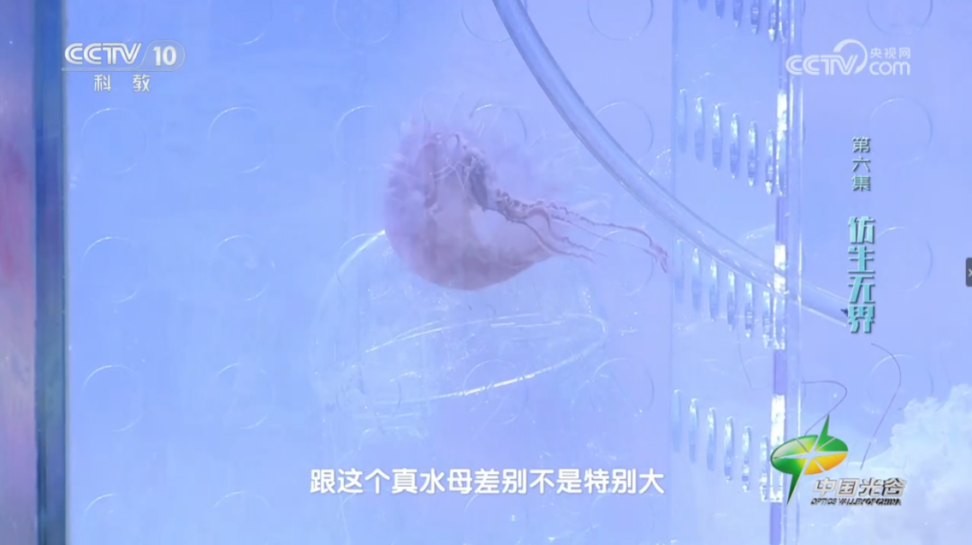 علماء صينيون ينجحون في تطوير روبوت قنديل البحر الشفاف الذي يمكنه مراقبة البيئة تحت الماء في الوقت الفعلي