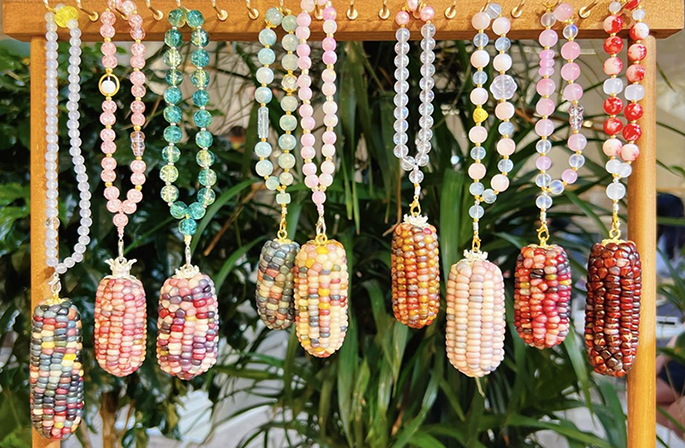 ذرة الزينة في يوننان، حبّاتها مثل الأحجار الكريمة