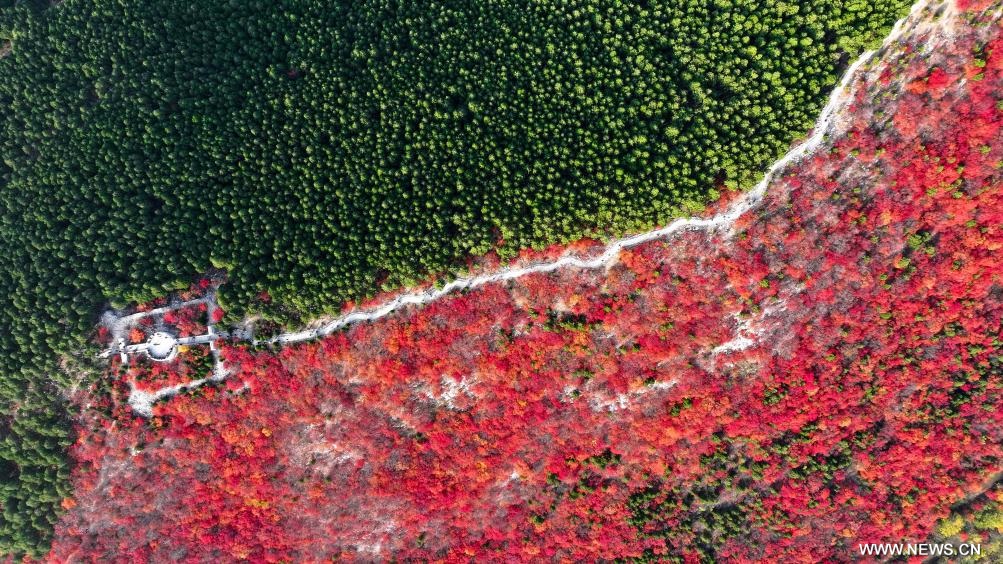 مناظر خريفية في مدينة بشرقي الصين