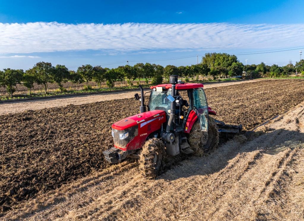 الصورة: زراعة القمح الشتوي في أنحاء الصين