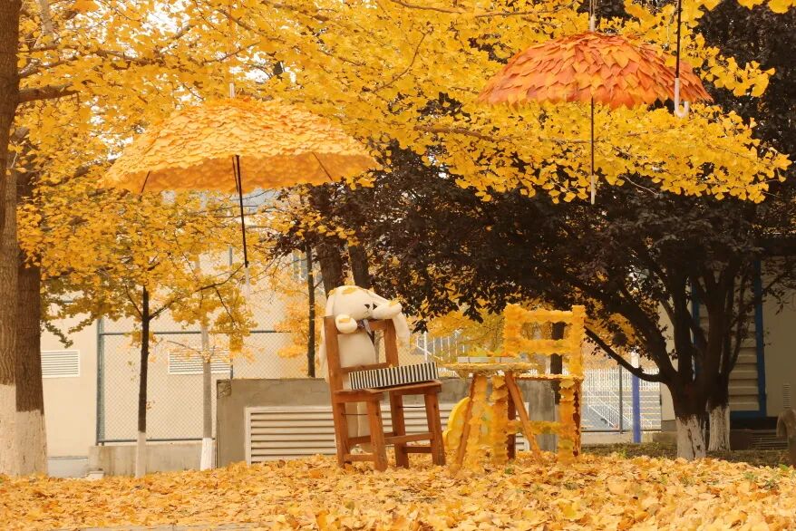 عاملات النظافة في جامعة داليان للغات الأجنبية يبدعن مظلّات مصنوعة من الجنكة