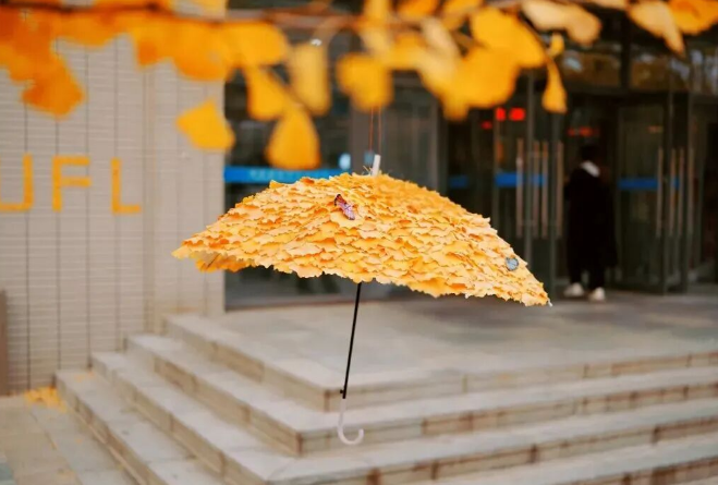 عاملات النظافة في جامعة داليان للغات الأجنبية يبدعن مظلّات مصنوعة من الجنكة