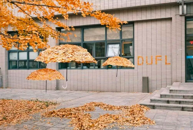 عاملات النظافة في جامعة داليان للغات الأجنبية يبدعن مظلّات مصنوعة من الجنكة