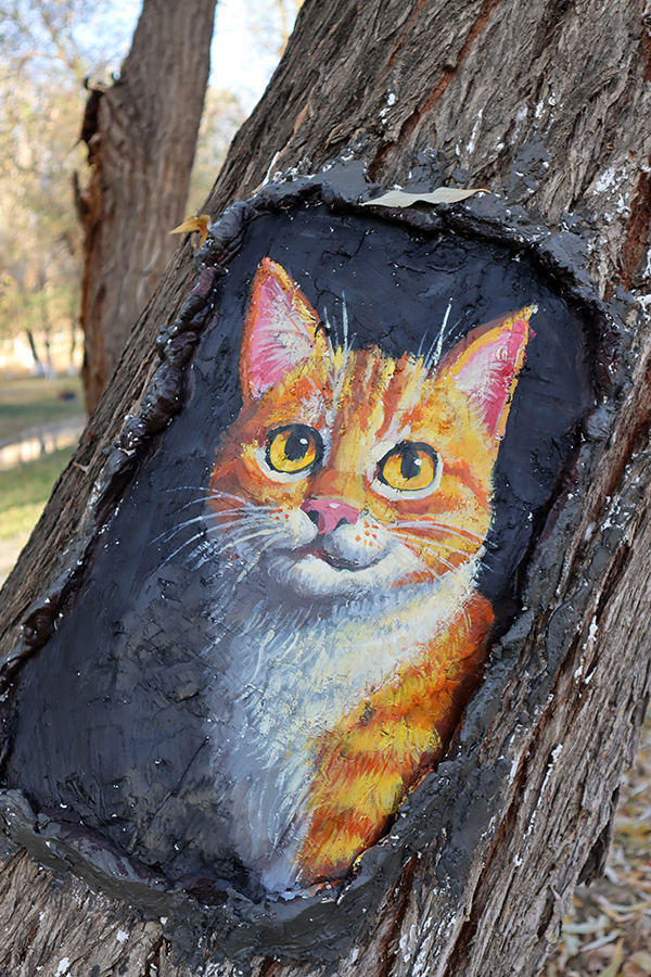 هامي، شينجيانغ: حيوانات صغيرة "تنمو" من ثقوب الأشجار