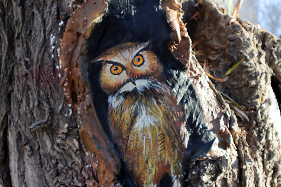 هامي، شينجيانغ: حيوانات صغيرة