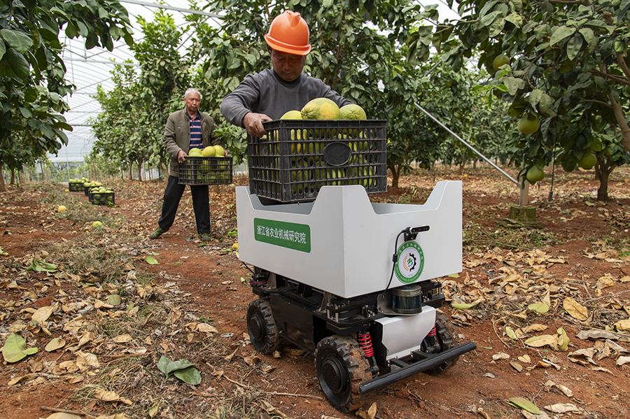 جينهوا، تشجيانغ: استخدام روبوتات التفتيش والنقل الذكية للصوب الزراعية رسميًا
