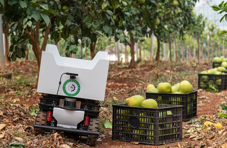 جينهوا، تشجيانغ: استخدام روبوتات التفتيش والنقل الذكية للصوب الزراعية رسميًا